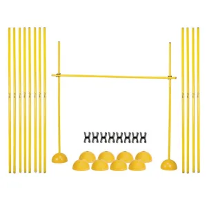 Champion Sports Agility Hurdle Set