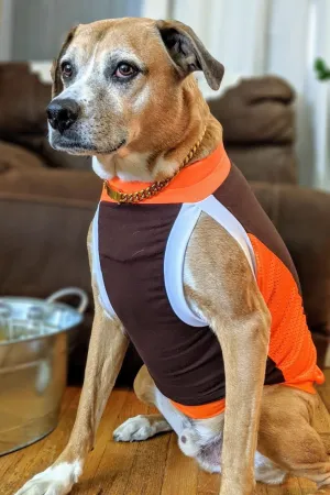 Dog Sport Jersey - Brown Body, Orange Mesh Sides, Orange & White Trim