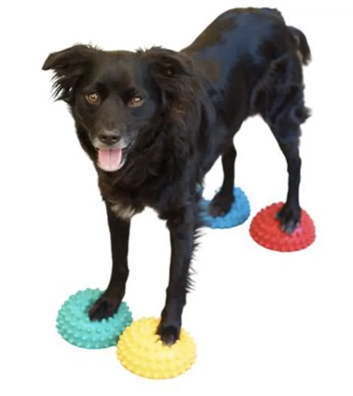 FitPAWS Paw Pods with Anti-Skid Bottoms (Set of 4)