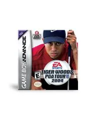 Tiger Woods 2004