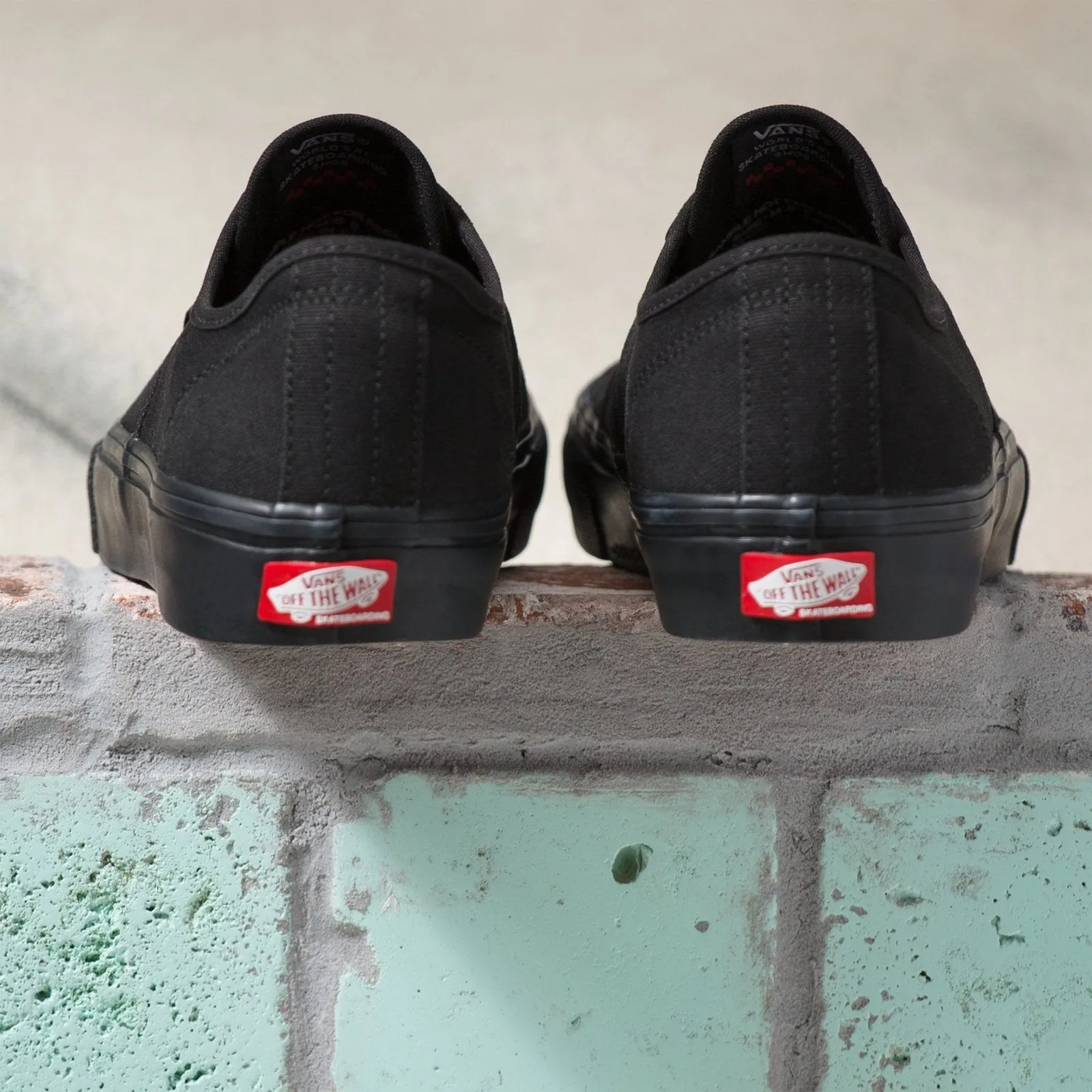 Vans Skate Authentic Skateboard Shoe - Black/Black