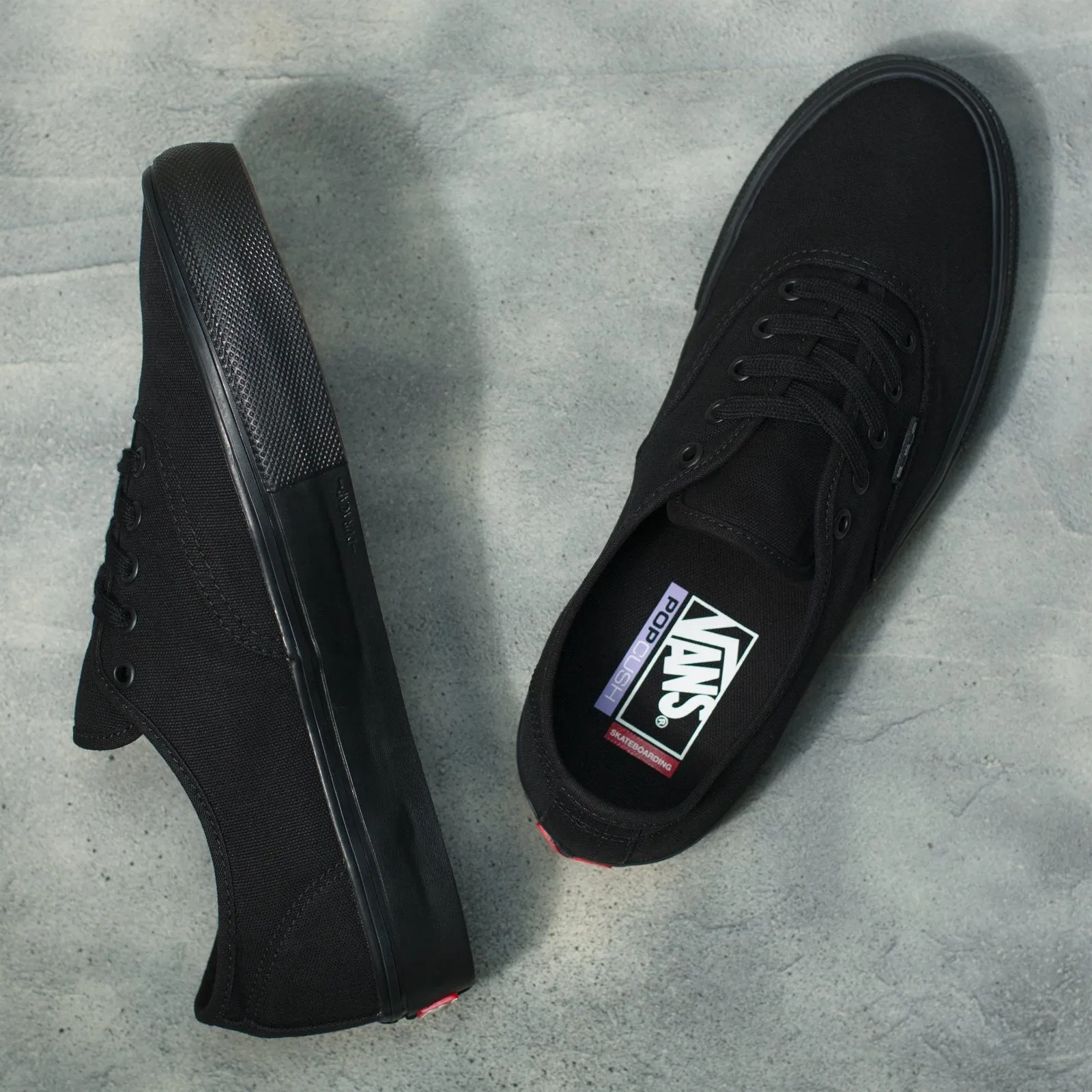 Vans Skate Authentic Skateboard Shoe - Black/Black