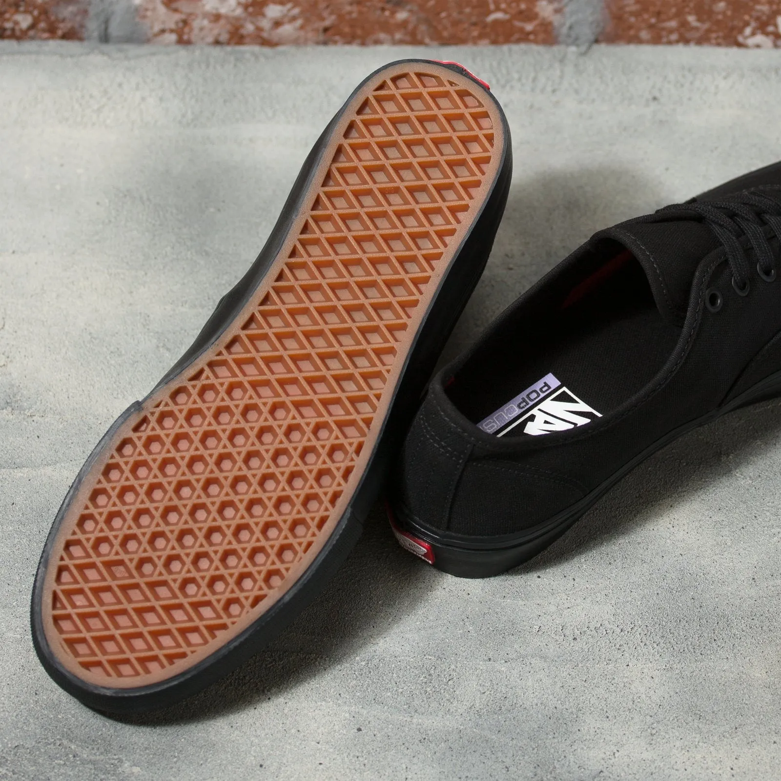 Vans Skate Authentic Skateboard Shoe - Black/Black